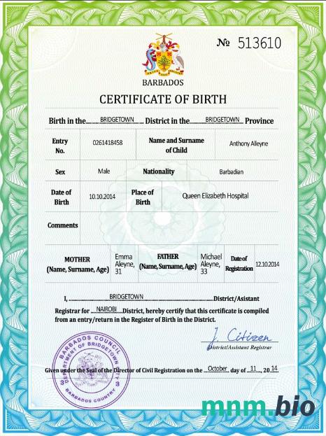 Barbados rekord życiowy narodziny certyfikat PSD szablon